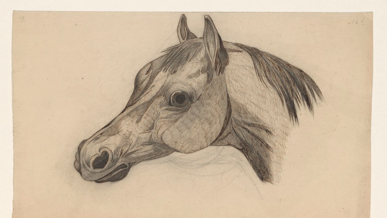 Tête de cheval, vers la gauche - Dirk Arnoldus Tavenraat