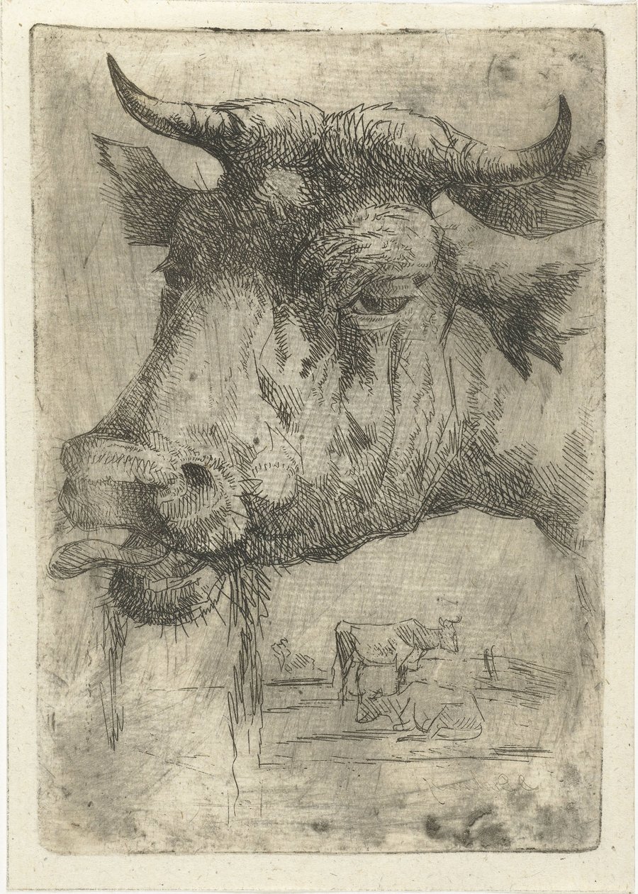 Tête de vache avec langue dehors - Dirk Dirksen