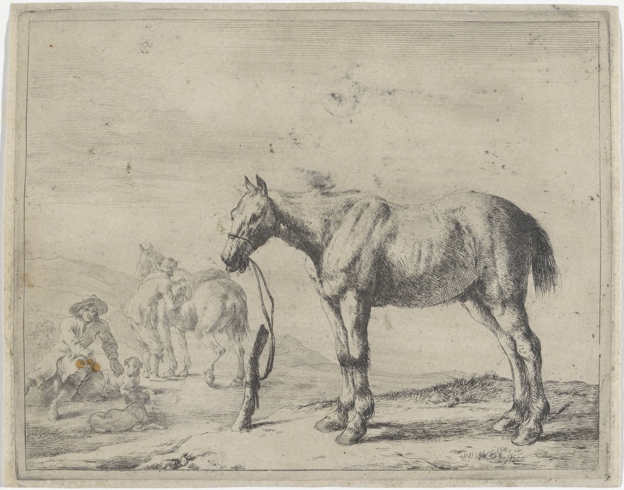 Cheval attaché à un poteau, vers la gauche - Dirk Stoop
