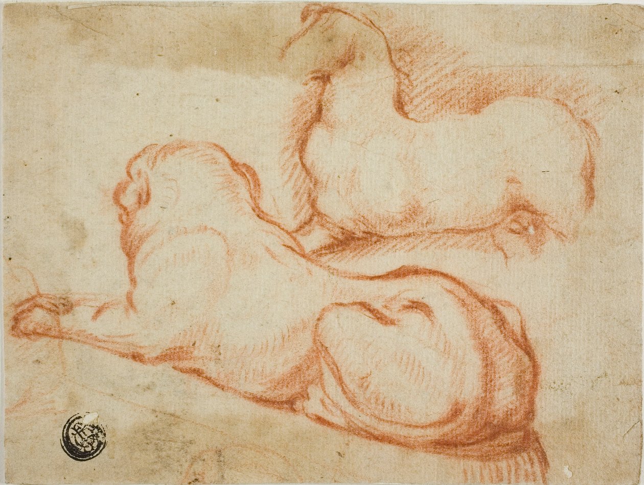 Esquisse de cheval et de chien - Dirk Valkenburg