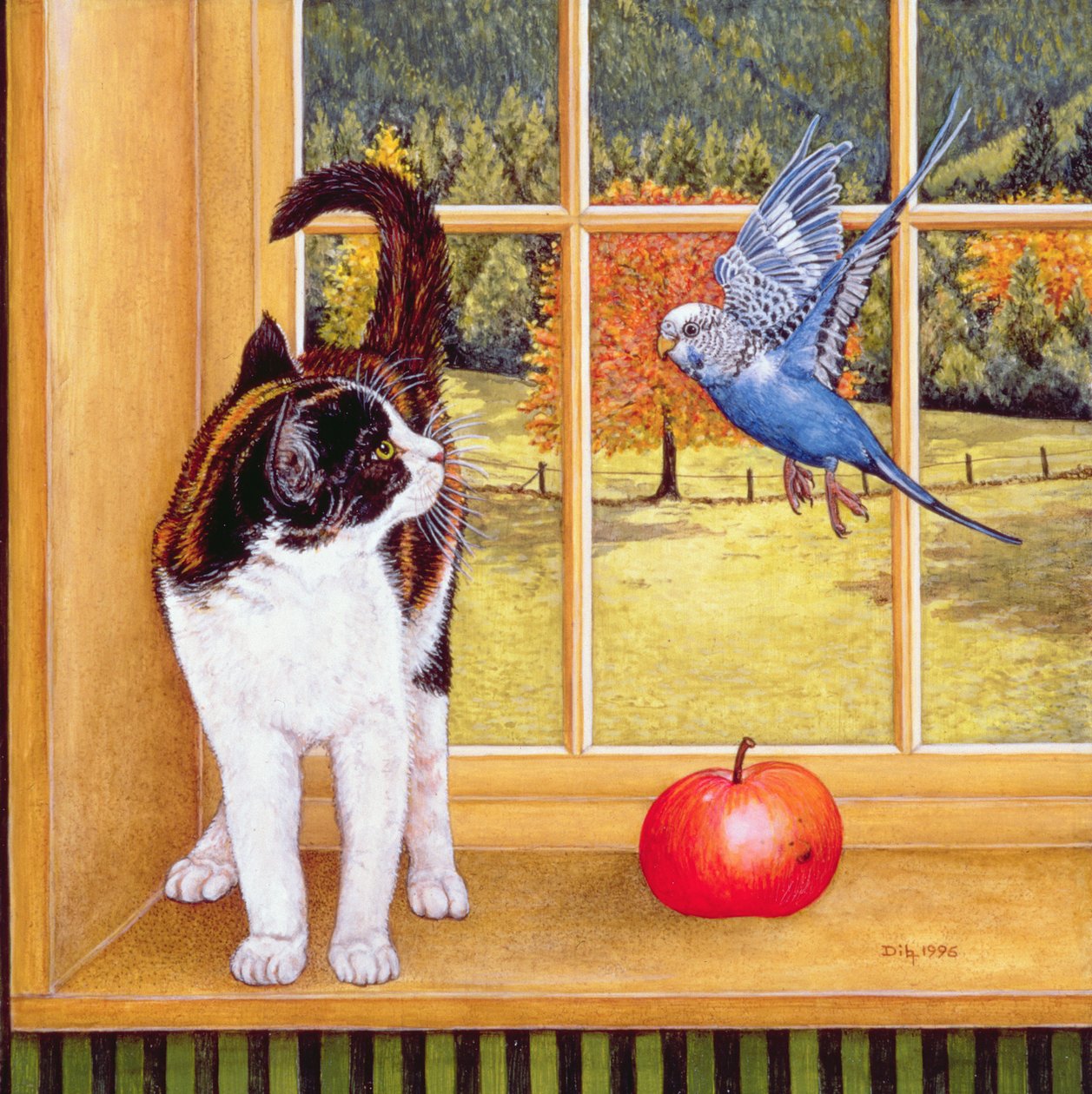 Observation des oiseaux - Ditz