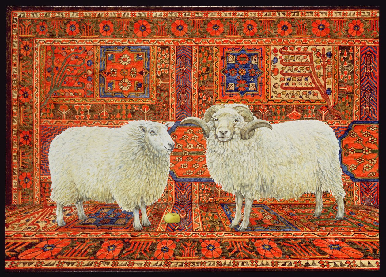 Laine persane - Ditz