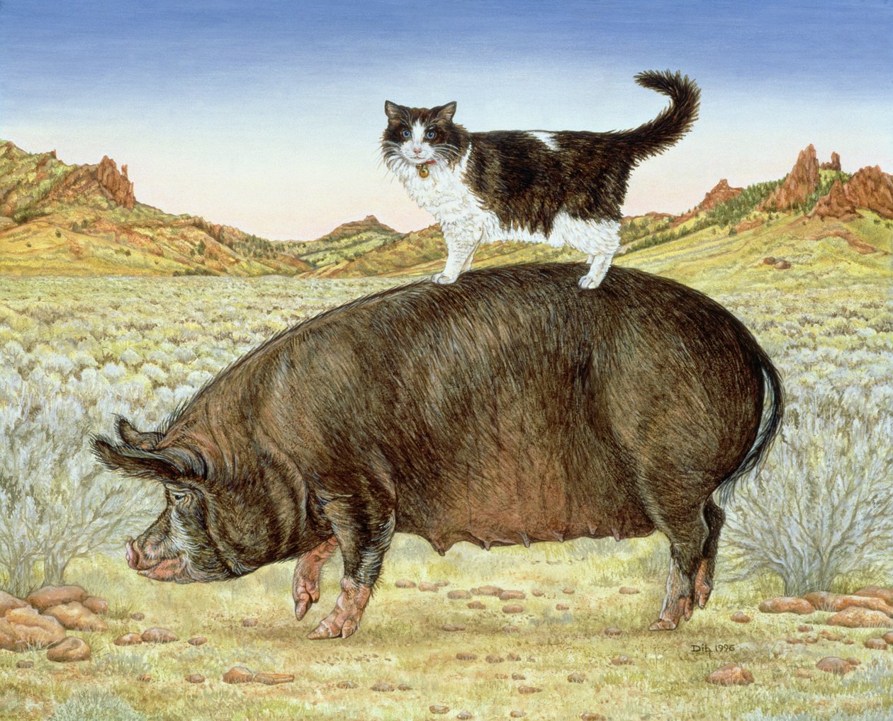 Balade à dos de cochon à Breteche Creek - Ditz