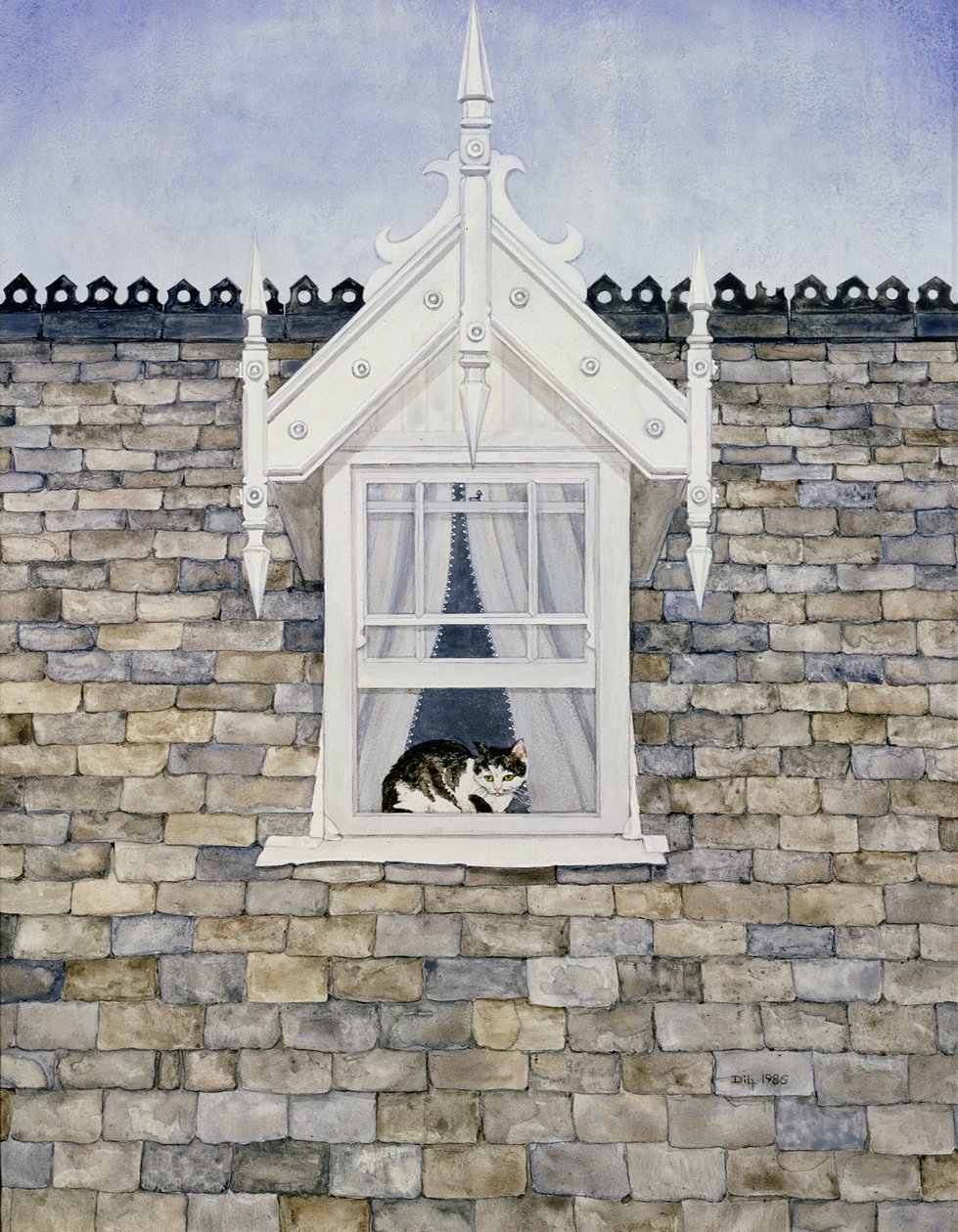 Chat de St. Helier Dormer - Ditz
