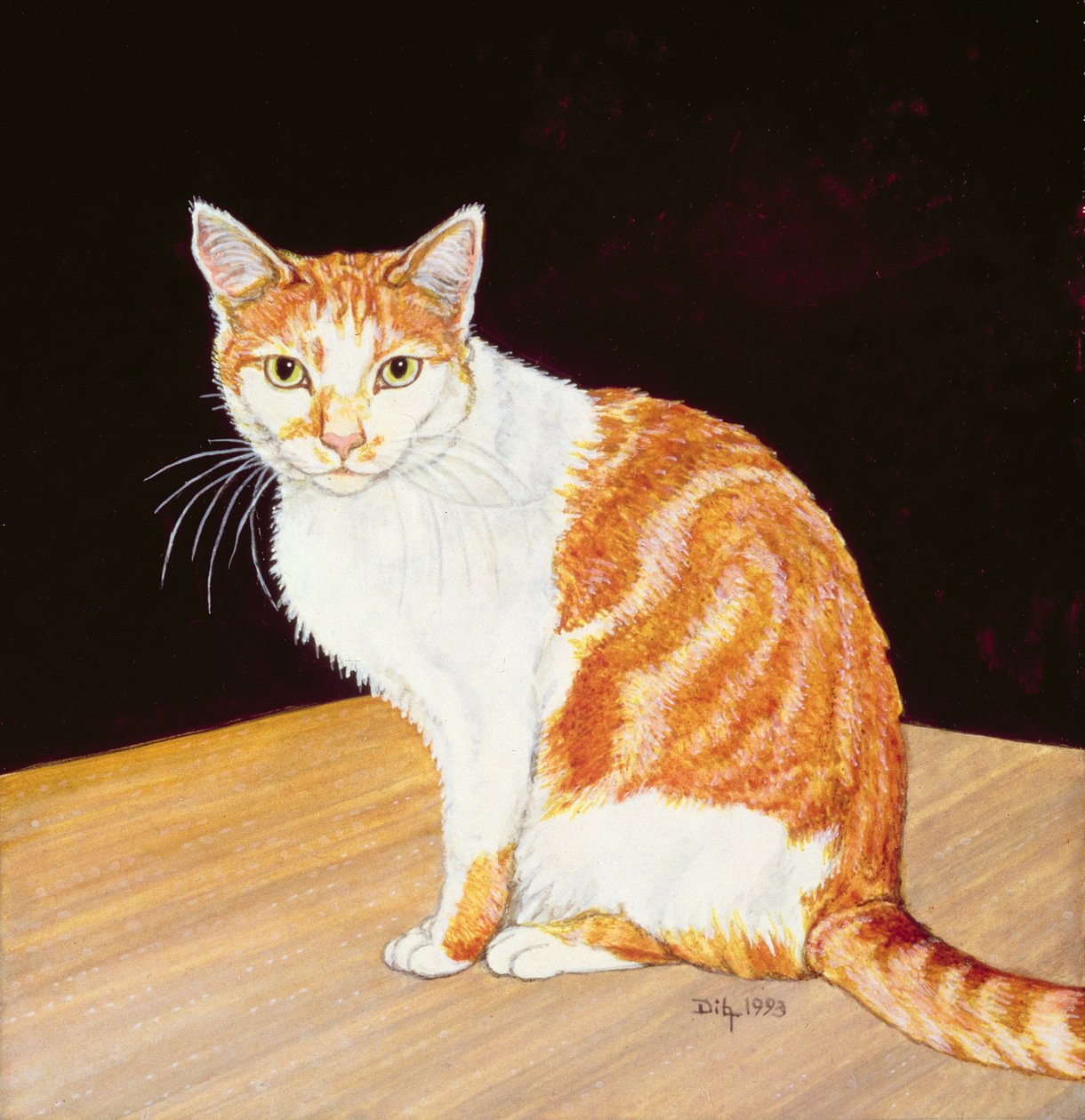 Thomas - Ditz