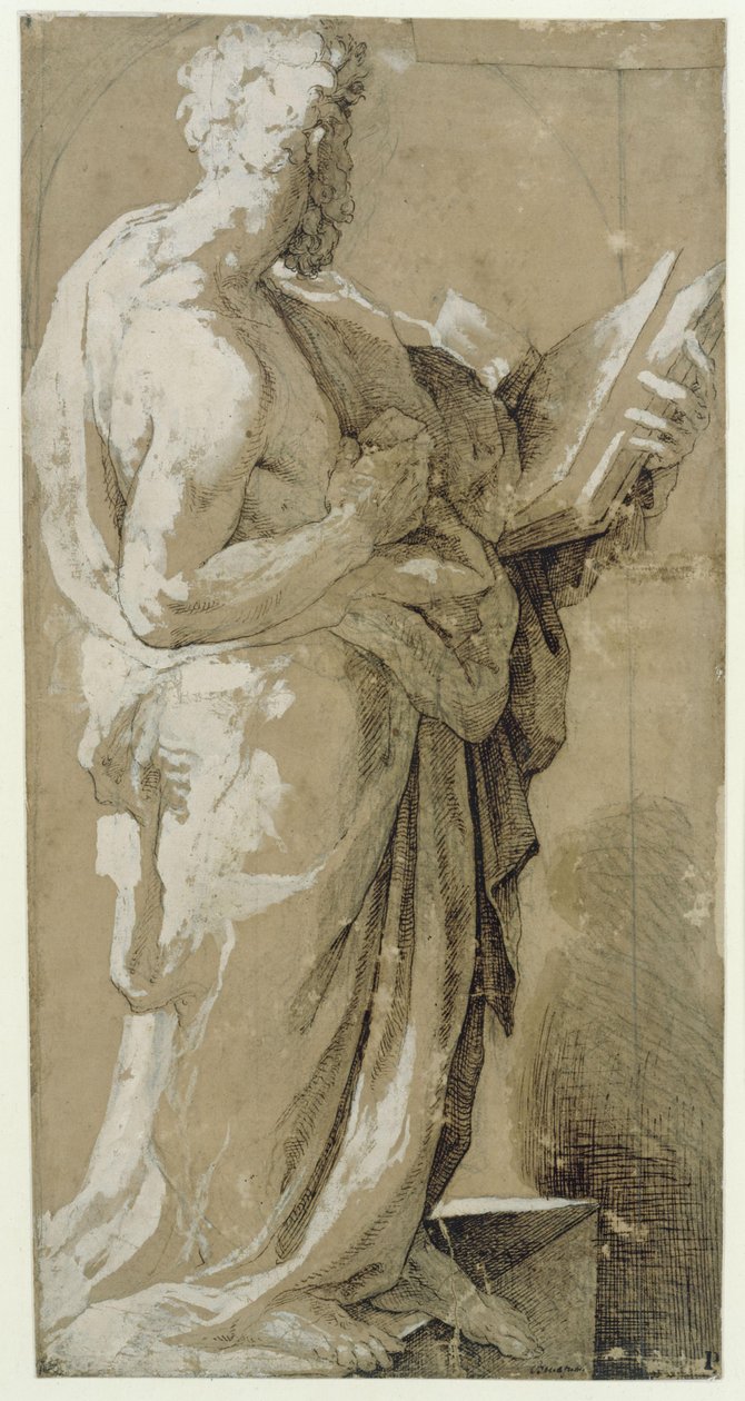 Apôtre - Domenico Beccafumi