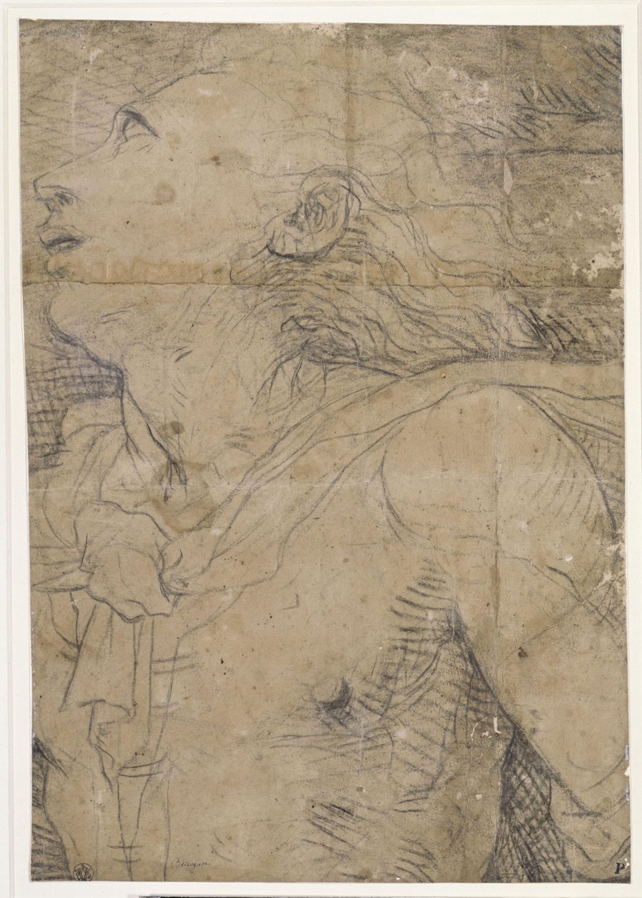 Jeune homme levant les yeux (demi-figure), fragment d