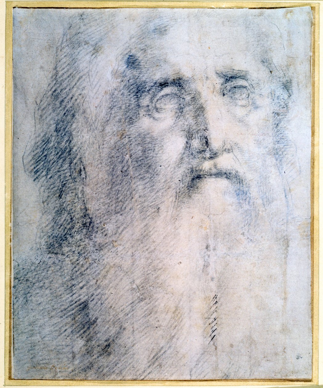 Étude de la tête d