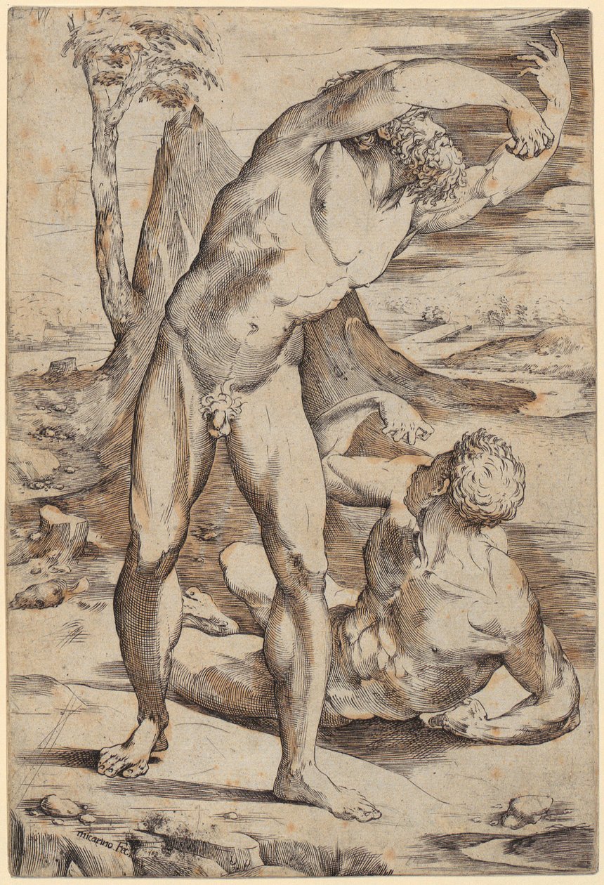 Deux hommes nus dans un paysage - Domenico Beccafumi