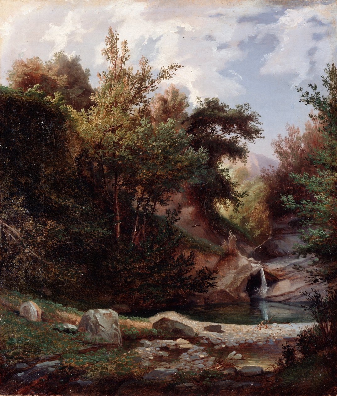 Paysage de nature, sous-bois et ruisseau avec cascade - Domenico Cambiaso