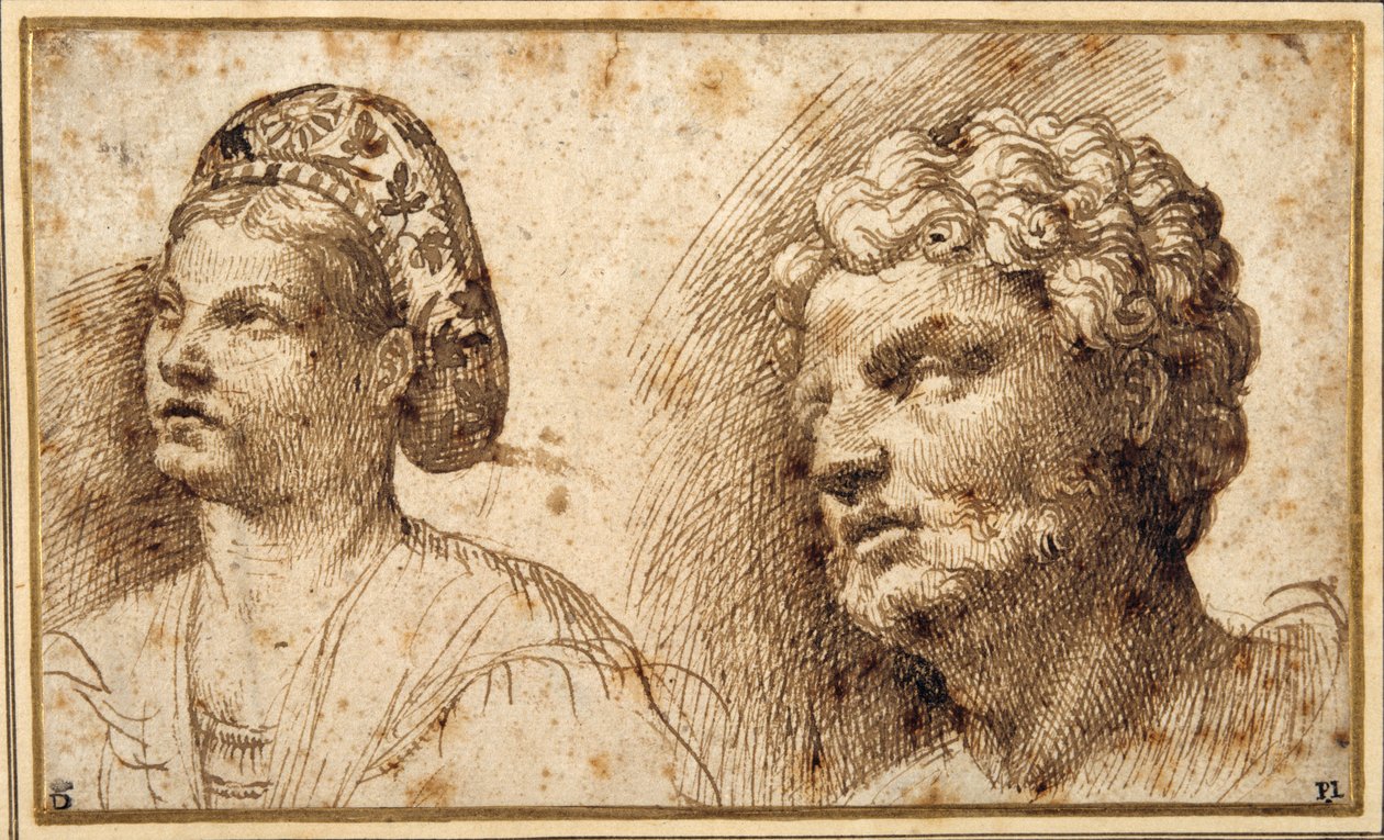 Étude de la tête et des épaules d