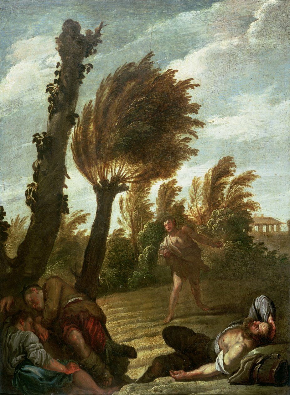 Parabole du semeur d