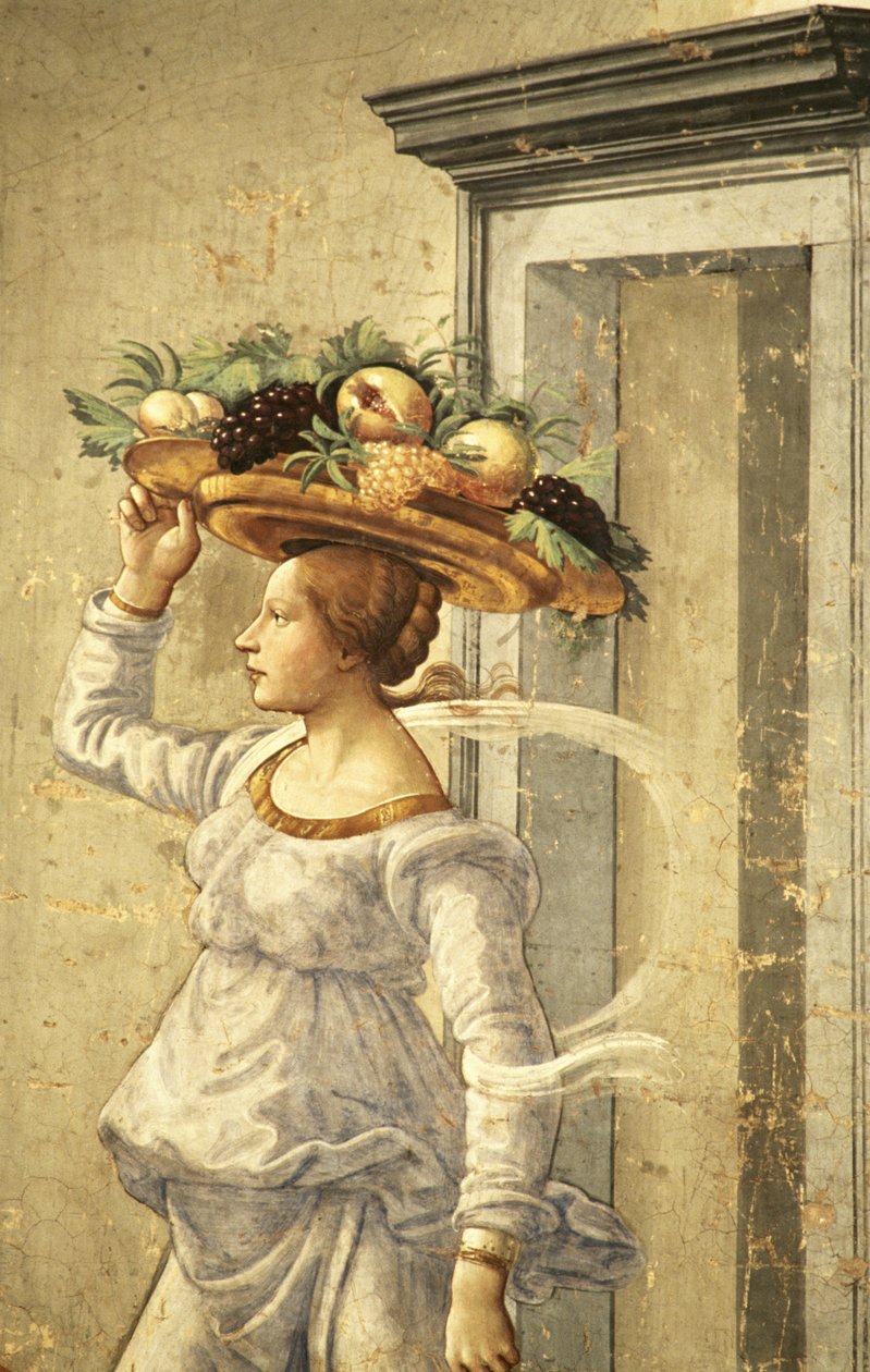 Femme portant des fruits, de la naissance de Saint Jean-Baptiste - Domenico Ghirlandaio