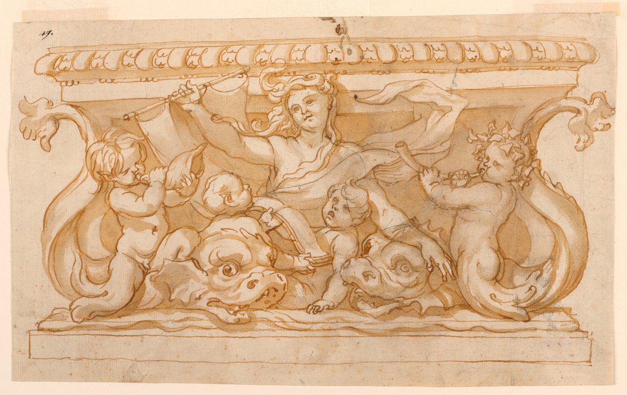 Dessin, bassin de la fontaine, 1650-75 - Domenico Piola