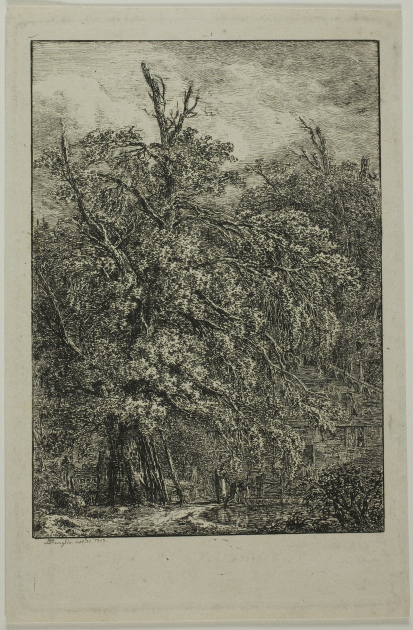 Grand arbre - Domenico Quaglio