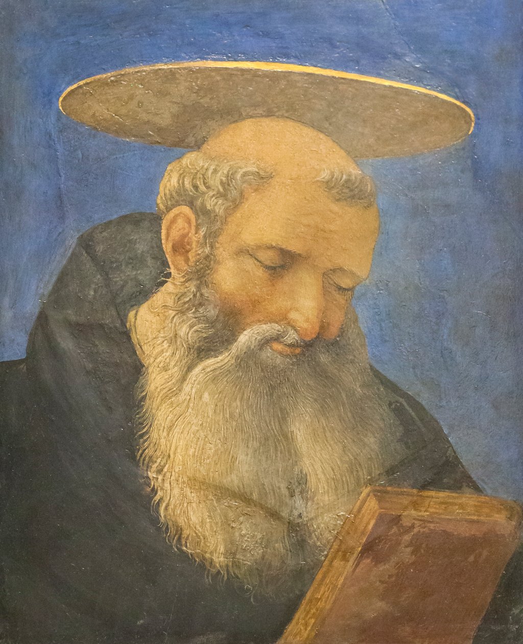 Tête d