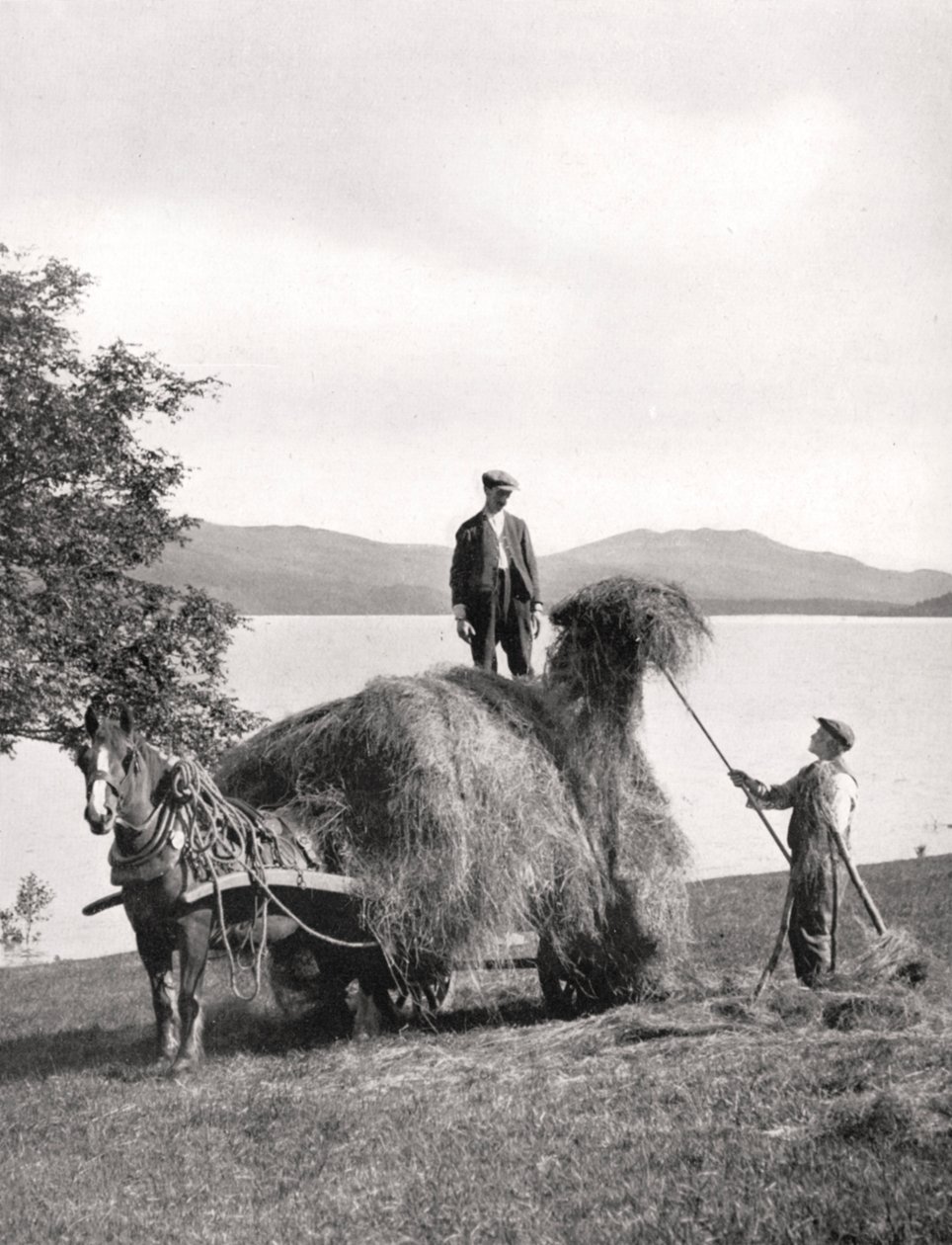 Chargement de foin sur un chariot sur les rives du Loch Lomond, Écosse - Donald McLeish