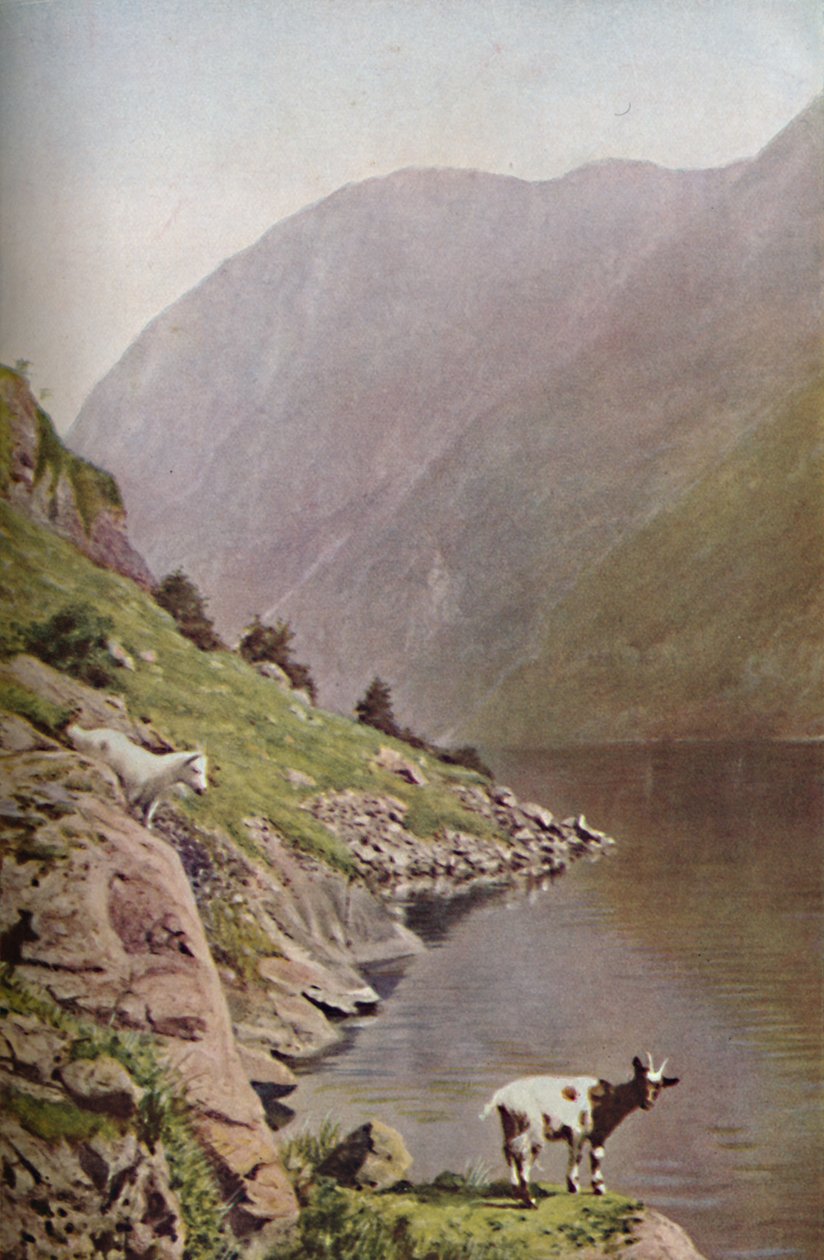 Norvège, années 1930 - Donald McLeish