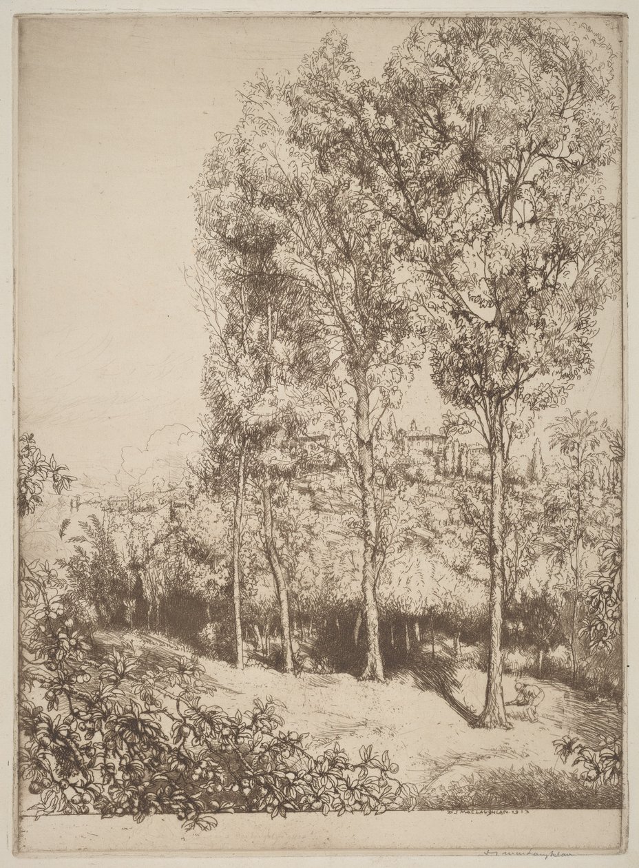 Lumière et ombres, n° 3 - Donald Shaw MacLaughlan