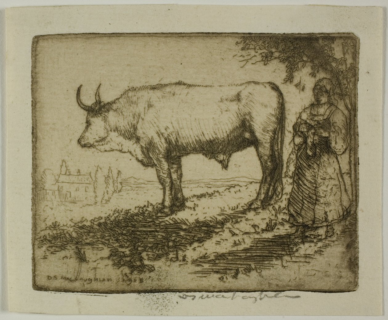 Le Bœuf blanc - Donald Shaw MacLaughlan
