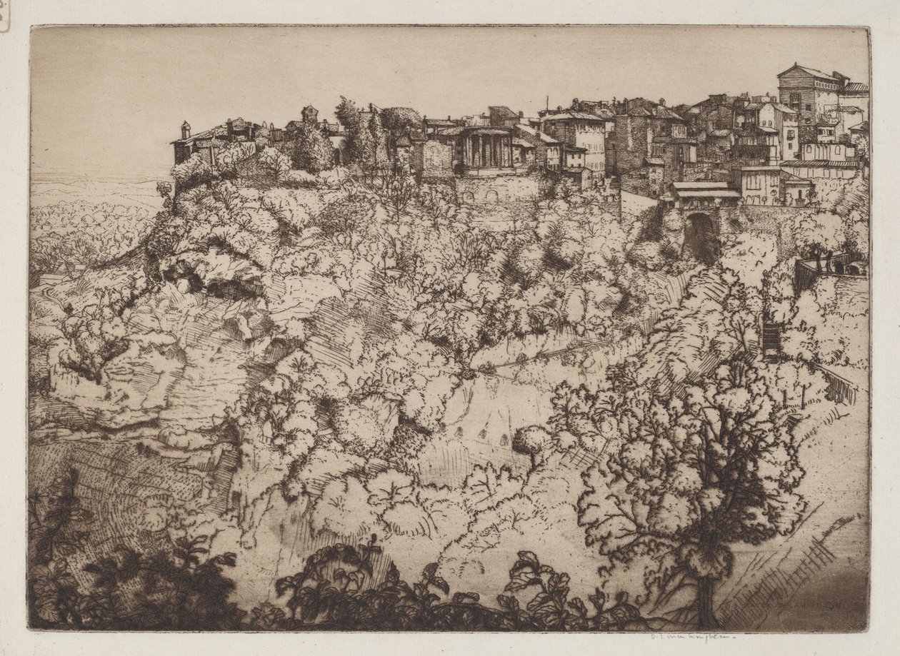 Tivoli - Donald Shaw MacLaughlan