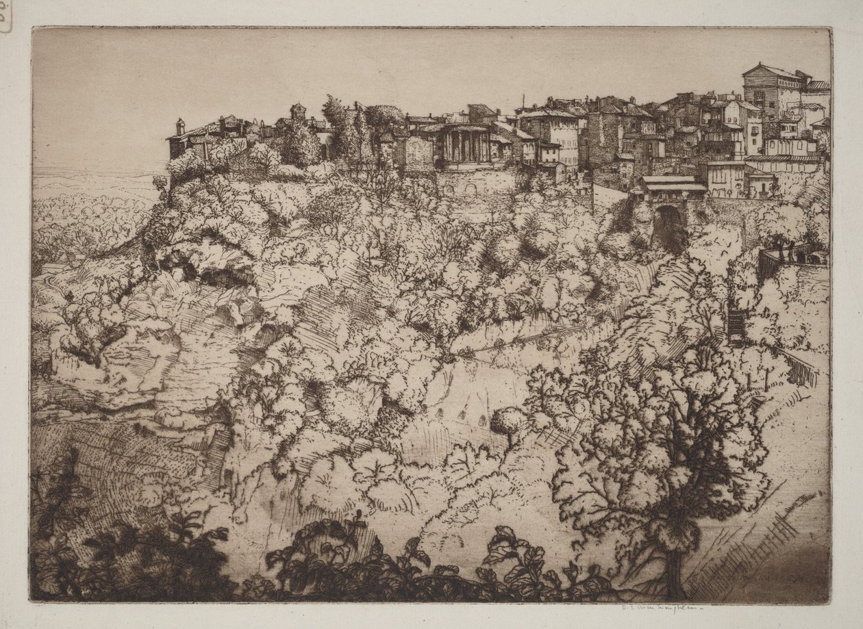 Tivoli - Donald Shaw MacLaughlan
