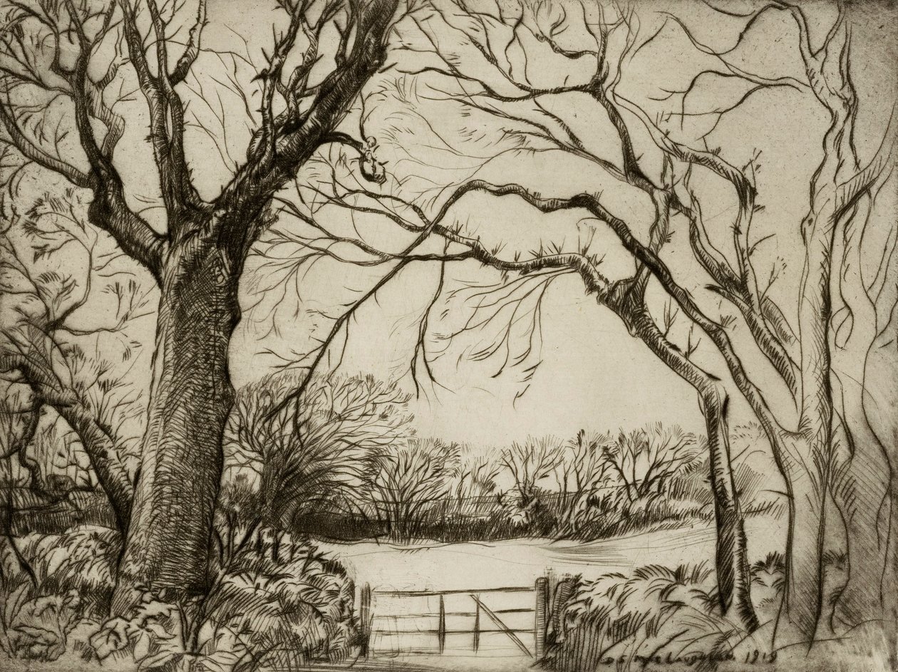 Tragenna Wood - Donald Shaw MacLaughlan