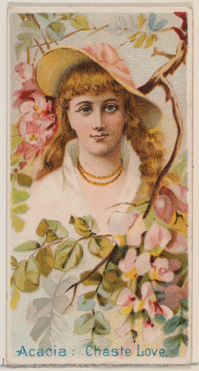Acacia : Amour chaste, de la série Beautés florales et langage des fleurs N75 pour Duk - Donaldson Brothers