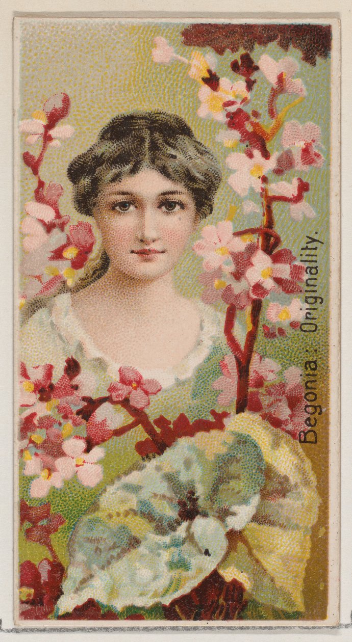 Bégonia : Originalité, de la série Beautés Florales et Langage des Fleurs N75 pour Du..., 1892 - Donaldson Brothers