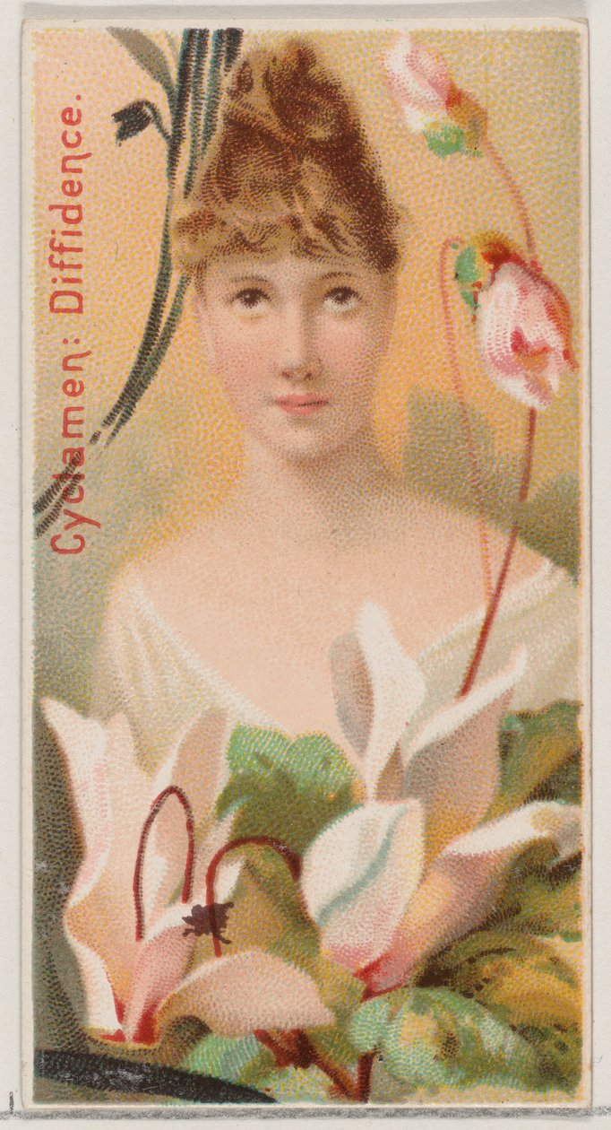 Cyclamen : Diffidence, de la série Beautés florales et langage des fleurs N75 pour Du..., 1892 - Donaldson Brothers