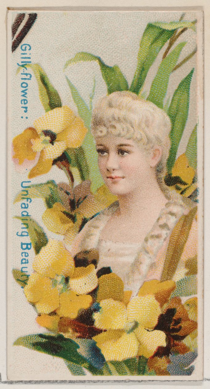 Giroflée : Beauté impérissable, de la série Beautés florales et langage des fleurs N7 - Donaldson Brothers