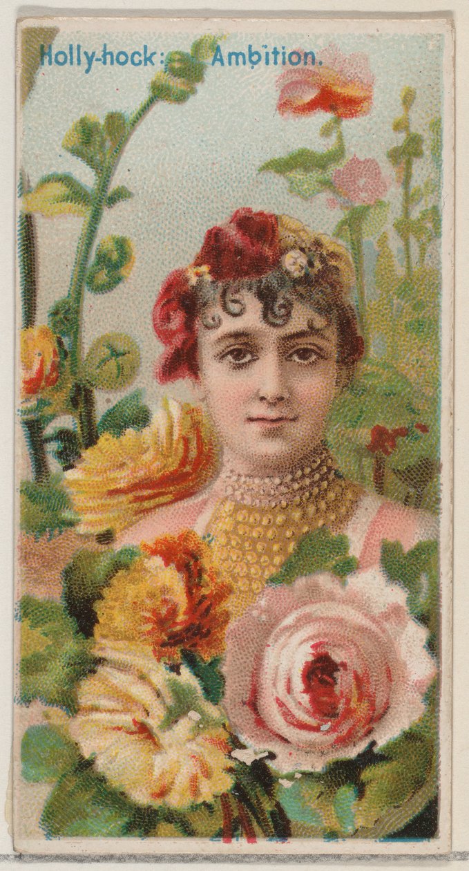 Rose trémière : Ambition, de la série Beautés florales et langage des fleurs N75 pour Duk..., 1892 - Donaldson Brothers