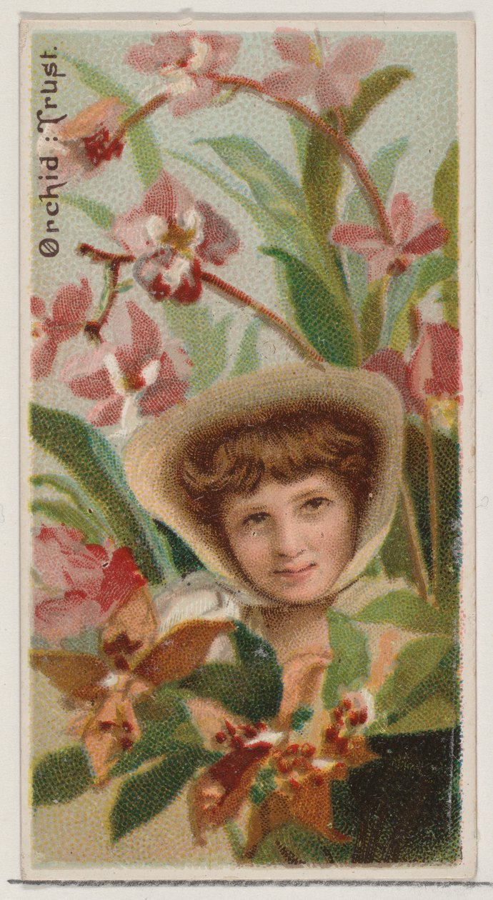 Orchidée : Confiance, de la série Beautés florales et langage des fleurs N75 pour Duke - Donaldson Brothers