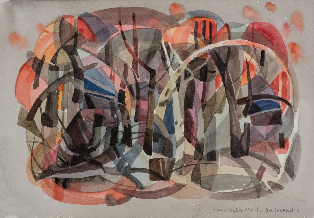 Feu - Donatella Merlo