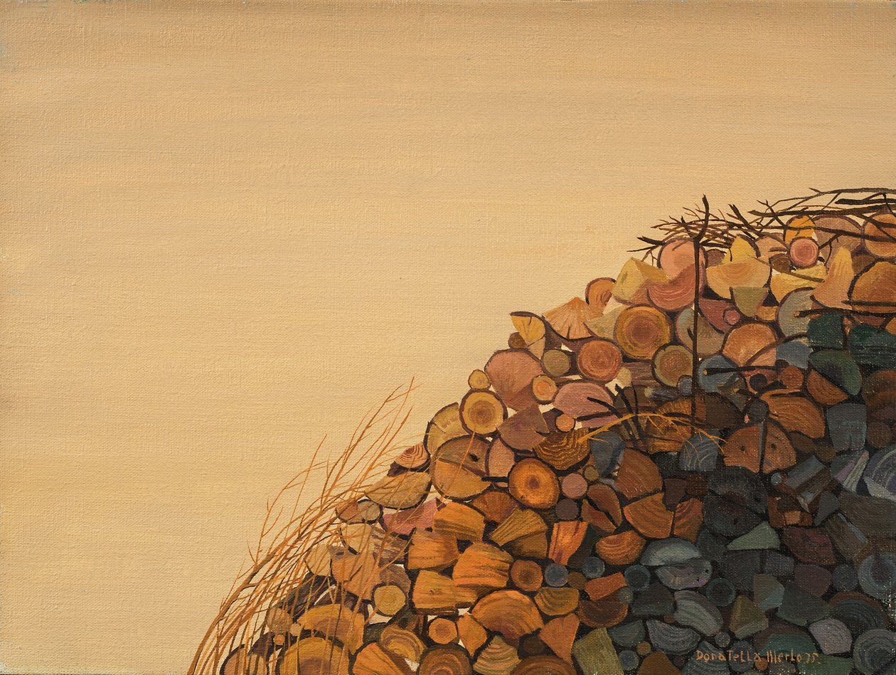 Le château en bois - Donatella Merlo