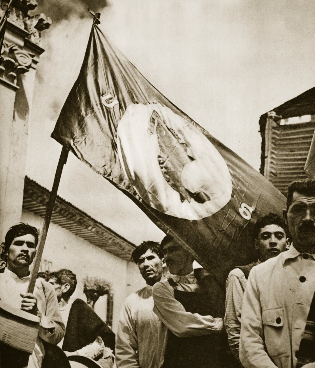 Membres de l