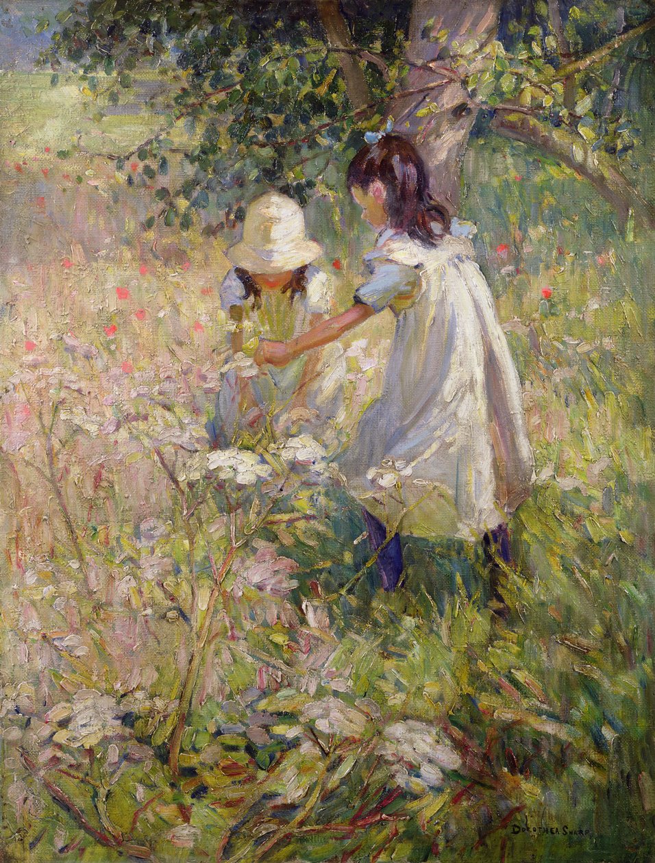  - Dorothea Sharp