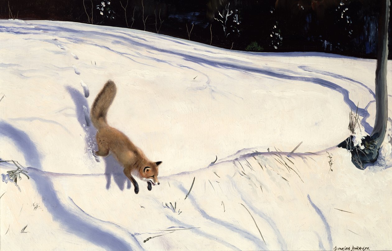 Renard sautant d