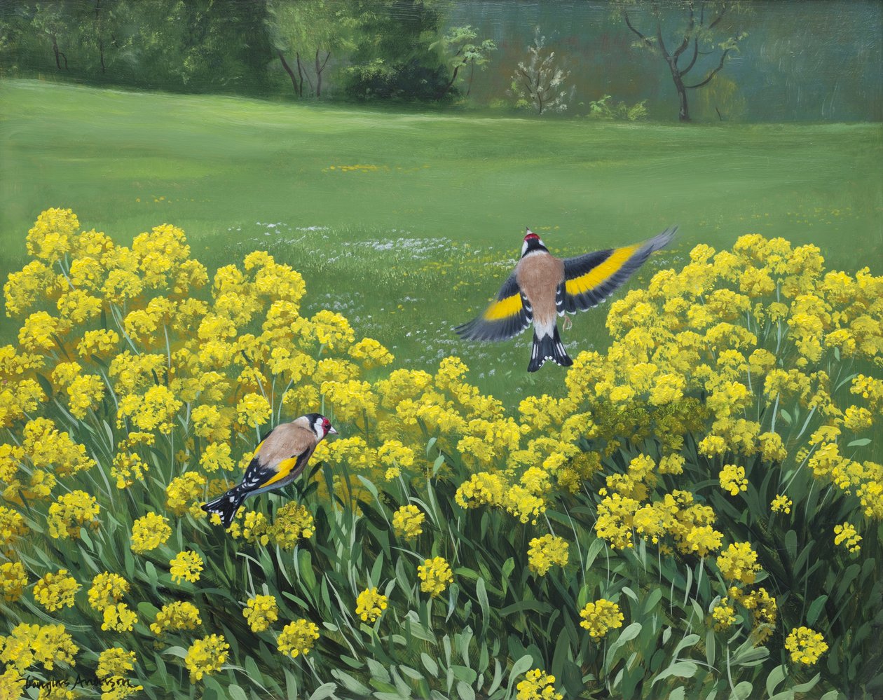 Chardonnerets, 2000 (huile sur carton) - Douglas Anderson