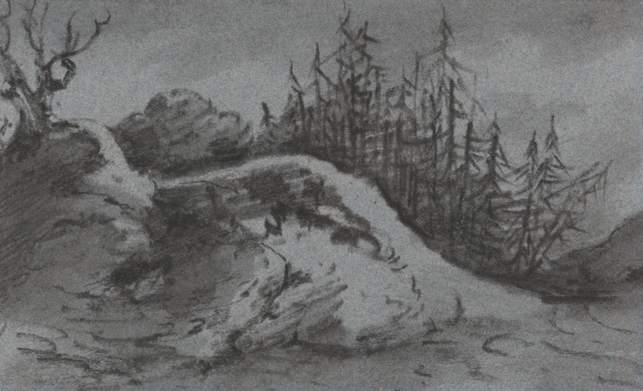 Composition de rochers et de pins - Dr. Thomas Monro
