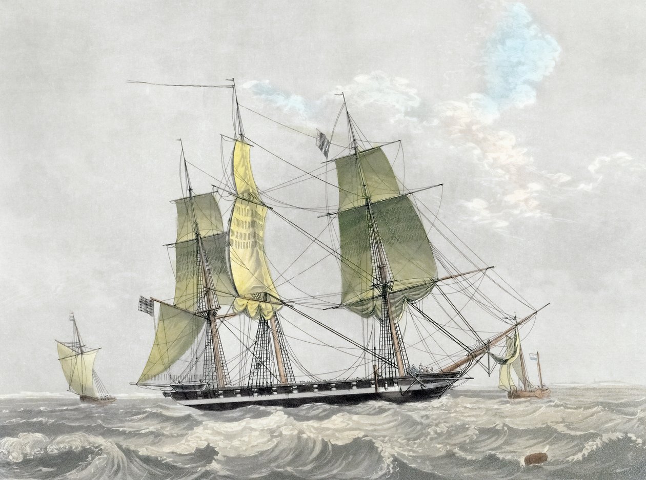 Corvette de la marine américaine sous voile, début du XIXe siècle - Dutch School