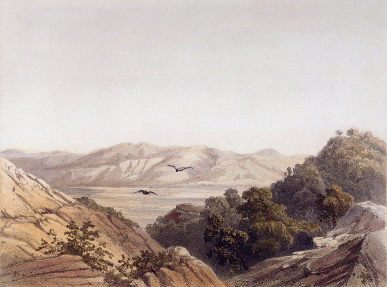 Mont Carmel, Israël, gravé par L. A Sabatier - Dutch School