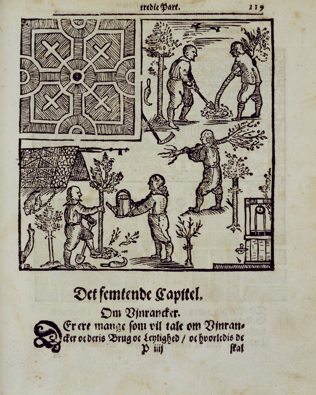 Planter des arbres, du Jardinier hollandais par Johann van der Groen, publié en 1699 - Dutch School