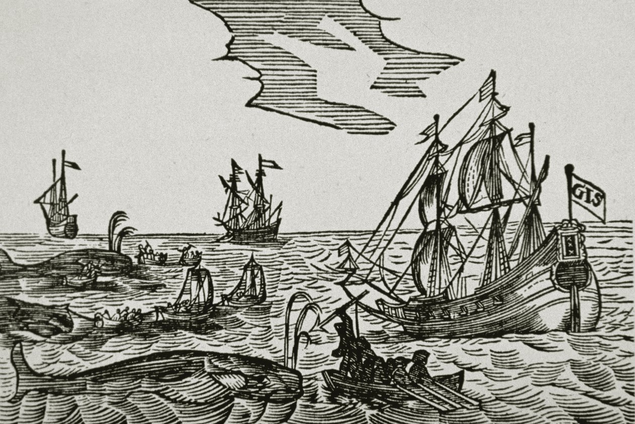 Navires baleiniers, du 