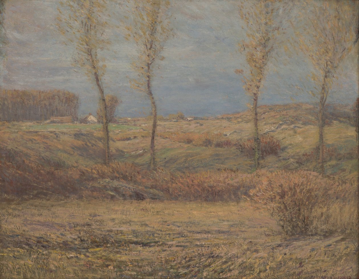 Matin de novembre - Dwight William Tryon