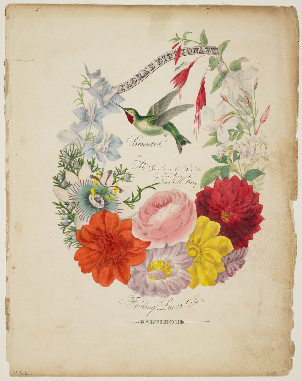 Page de présentation, guirlande de fleurs et colibri, de Flora