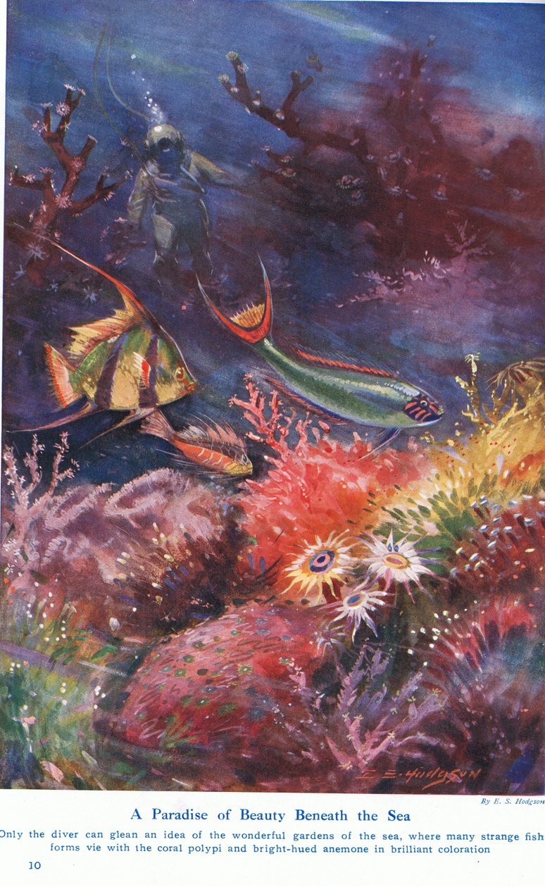 Un paradis de beauté sous la mer, illustration de 