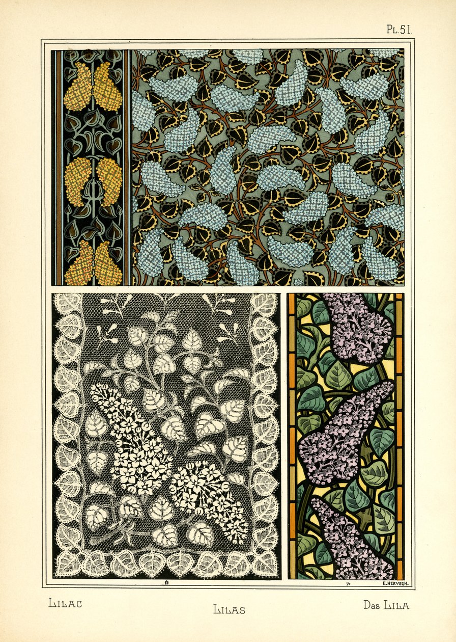 Le lilas - E. Hervegh