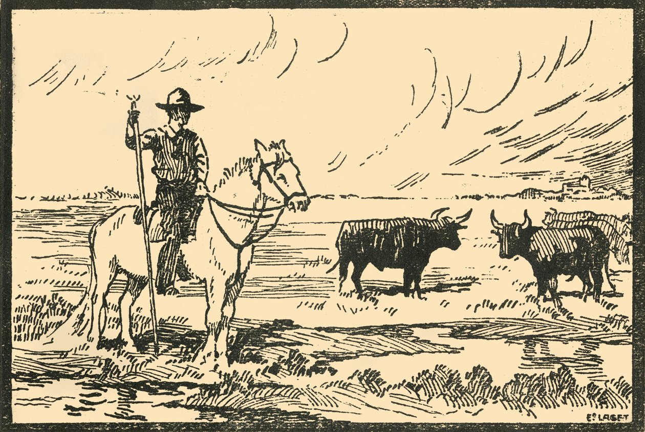 Paysage de Camargue - E Laget