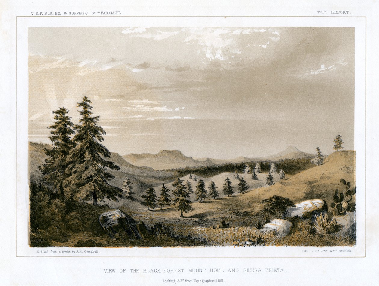 La Forêt-Noire Mount Hope et Sierra Prieta, USA, 1856 - E Stout